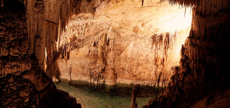 Cenotes, the jewel of the Mexican peninsula