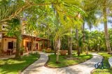  The Bamboo Manor 3